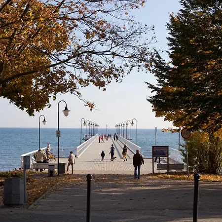 Apartman Plac Kaszubski 15 *